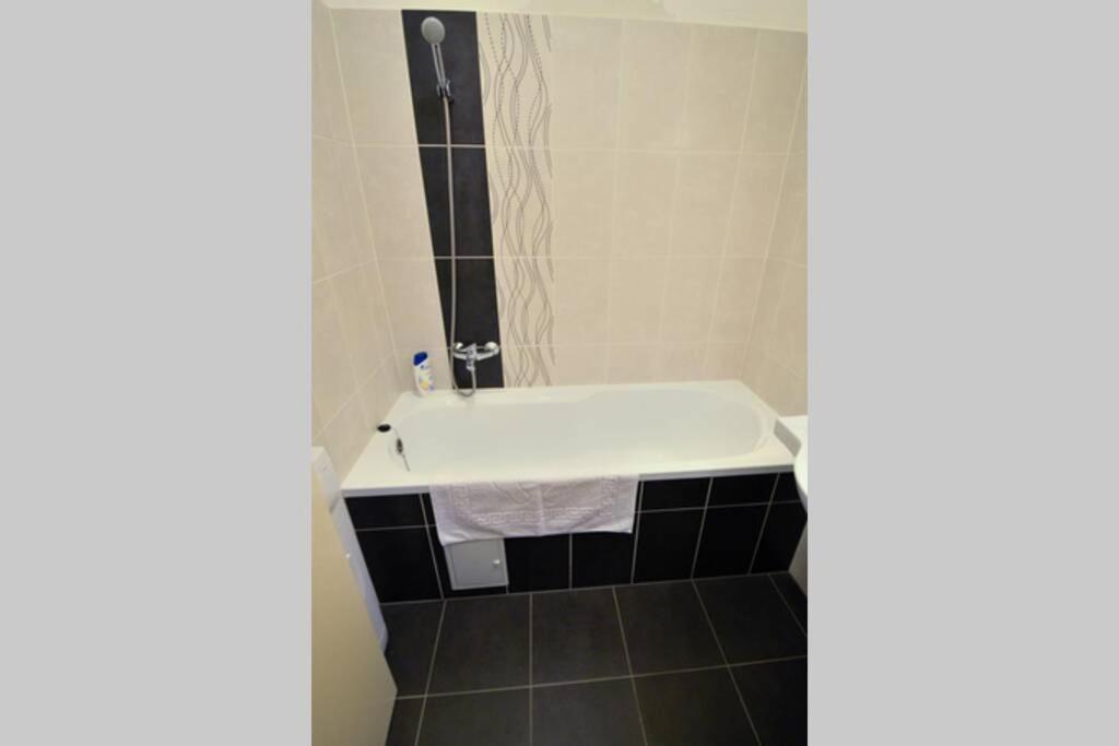 City Center Apartment Debrecen Bagian luar foto